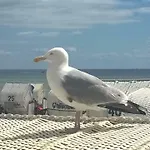 Sonnenschein Mit Grossem Balkon Grömitz
