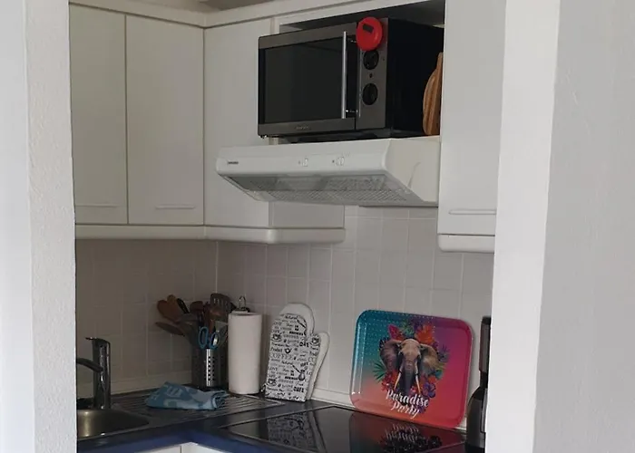 Sonnenschein Mit Grossem Balkon 公寓