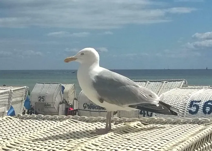 Sonnenschein Mit Grossem Balkon 格洛米茨